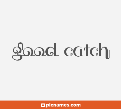 Good Catch